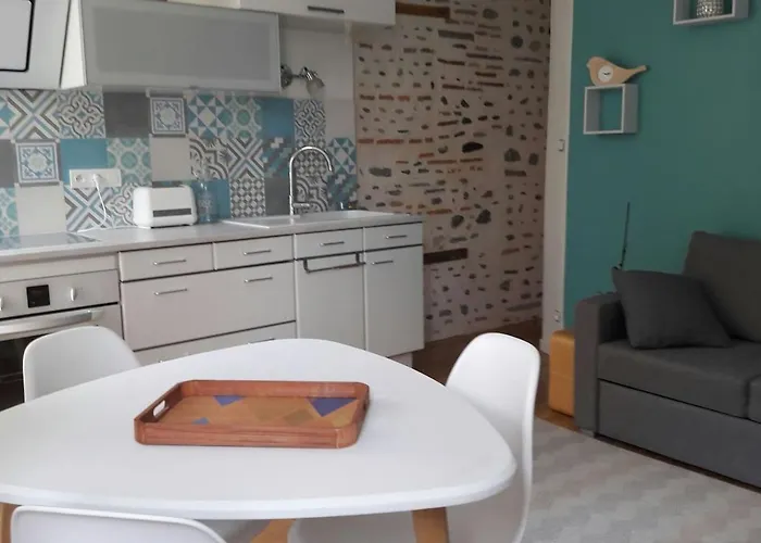 Un Lumineux Au Parc Beaumont Lejlighed Pau